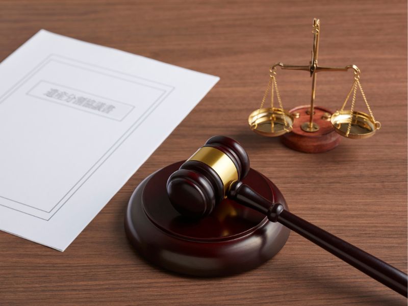 Cử nhân Luật sau khi ra trường có nhiều hướng phát triển khác nhau Cử nhân Luật sau khi ra trường có nhiều hướng phát triển khác nhau